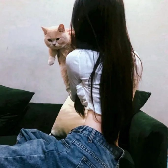 妙先生之火泽睽笑人传